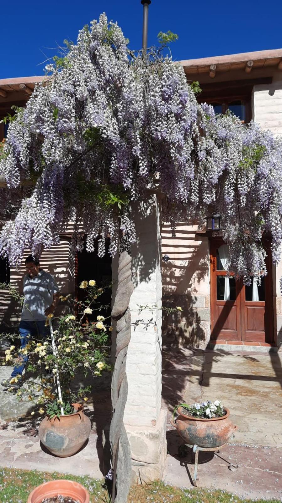 El Ensueno Villa Тилкара Екстериор снимка